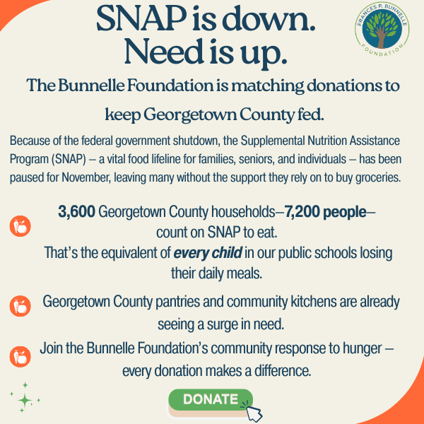 Website banner SNAP (600 x 600 px)